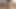 Tbabe Sula Camargo dildoya binerken yarağını okşuyor