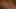 Alexa esnek parmaklı kitana cazibesi kedi eğlence için