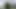 Big uncut cock fucks a flowering bush of the Brassicaceae family in nature with cumshot under the sunset
