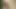 Seksi sarışın genç lezbiyenler açık havada birbirlerini tatmin ediyor
