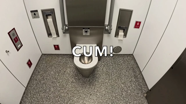 Wixxing in the public toilet