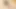 Stepbrother Fucking 18 Plus Stepsister Virgin Tight Pussy First Time Sex Creampies