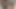 Seksi afro latin seks tuzağına düşüyor ve sahte bir iş için sikişiyor