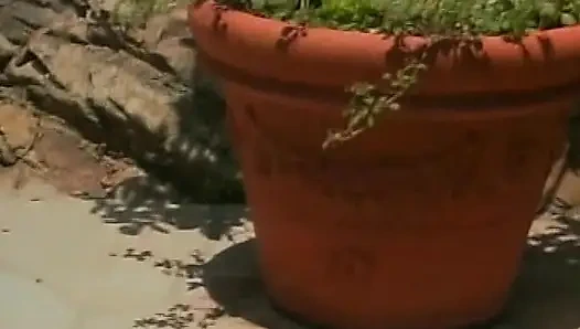 Tüm zamanların porno yıldızı harikalar açık havada büyük dildo paylaşıyor