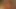 Softcore aktris christine nguyen ve beverly lynne
