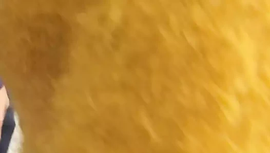 Sıcak göt, büyük göğüsler