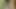 seksi kaltak seviyor bbc