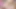Jade anal, fışkırtma ve daha fazlası