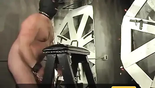 İki dominatrix şişman bir köleyi kırbaçlayıp şaplak atarak kendilerini eğlendiriyor