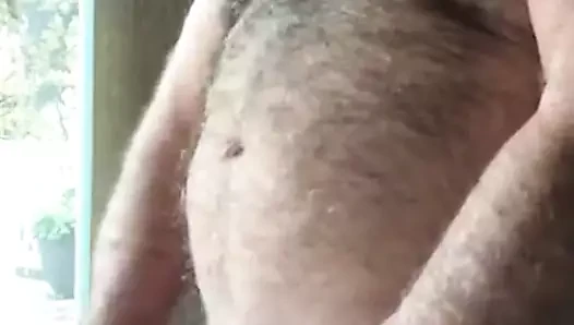 Sakallı kıllı kutup ayısı vurmak için vuruşlar: güzel cumload