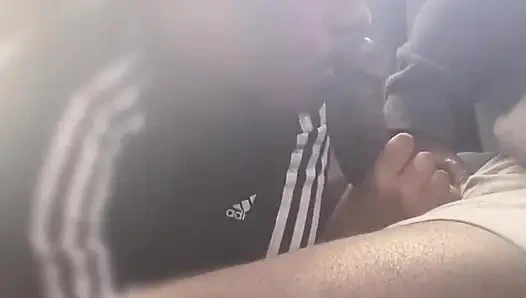 Enerjik tavşan oral seks