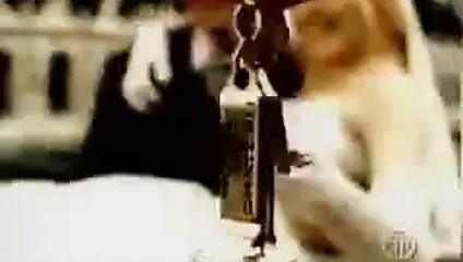 Evlilik öncesi seks neden önemlidir?