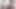 Güzel kızlar Riley Reid ve Melissa Moore üvey babalarını boşaltıyor