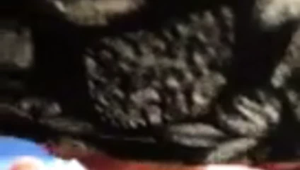 turbanli sedef sakso