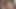 Genç latino twinks kahrolası barebakc kaba 20 yeras eski