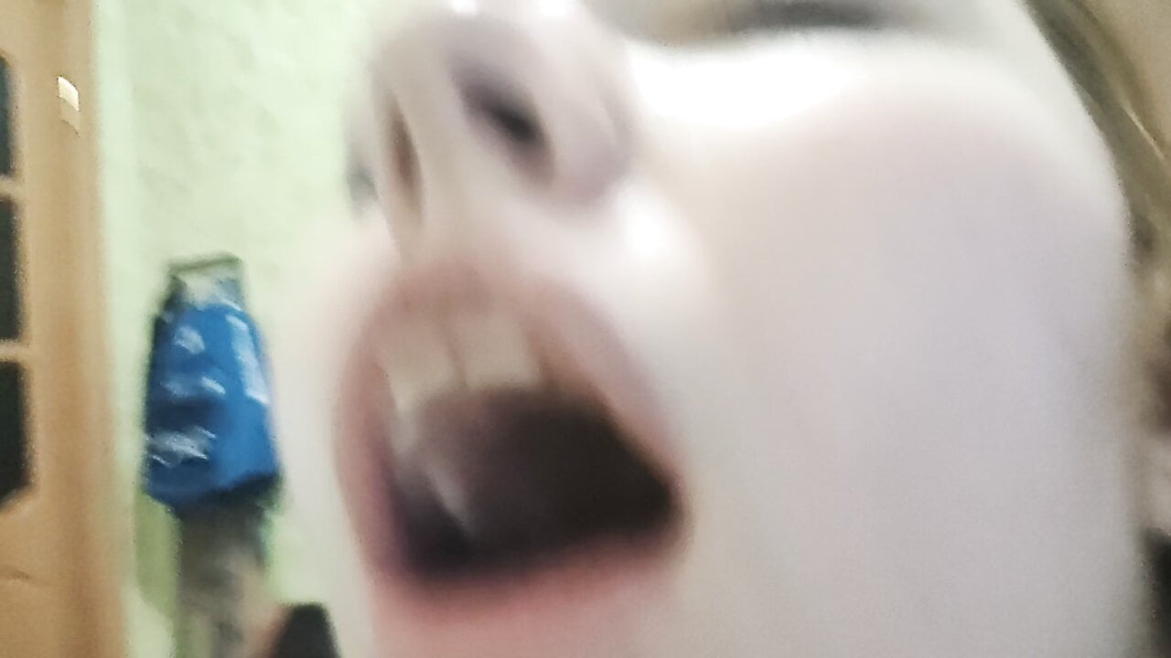 Kabaca becerdin onun kız arkadaş içinde the kedi için orgazm