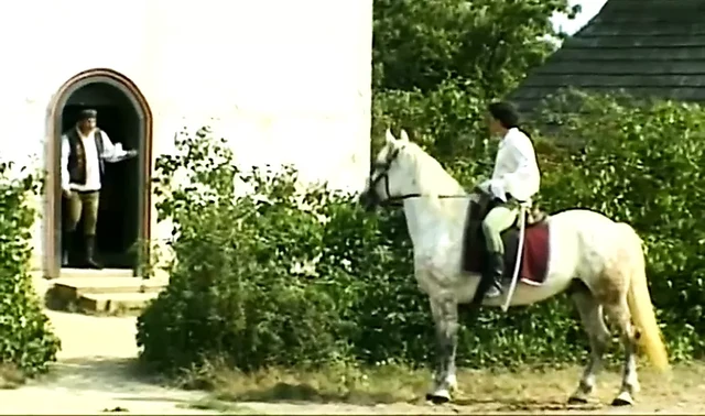 Sıcak bebek bağbozumu