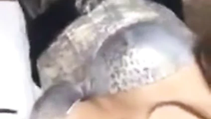 Turk orospu eliftanyei