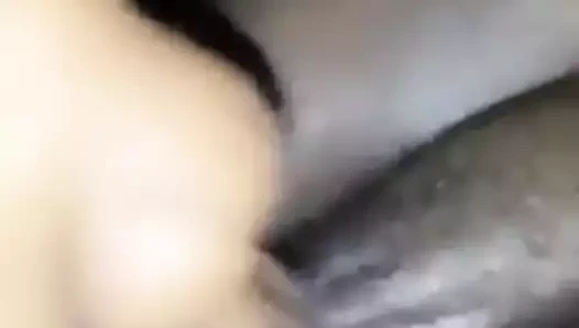 Başlarken benim kedi pt yedi. 1