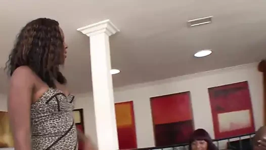 Aile ilişkisi (levluv)