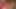 Nine kırmızı başlıklı kız: yarak emici genel 6 28 2024 cams24