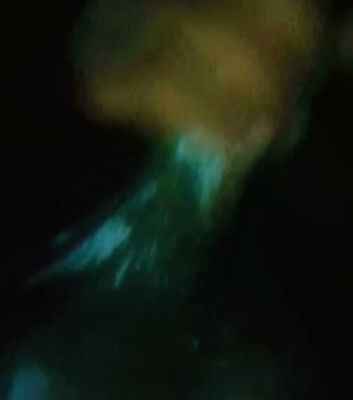 Büyük sik yağlı sallama