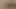 Shayla o amcığı cezalandırmama izin veriyor