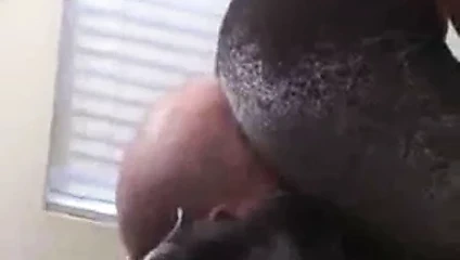 Yüze oturma siyah pantolon