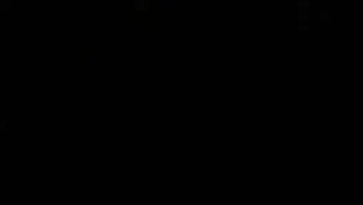 Nadia'nın hazinesi: palmiye yaprağı ep 187