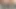 Gel ve sert yarağımla oyna