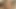 Hotwife genç damızlık seçmelere (ir versiyonu)