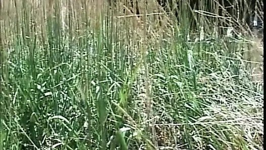 Renkli saçlı sürtük açık havada sikiliyor