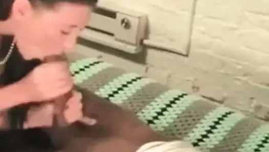 Aldatılan arşiv korkak eş emme ve kahrolası dev bbc bul