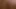 Longnailunicorn videosu