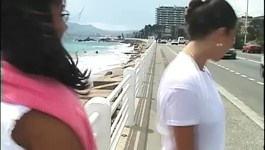 Dott zampa - 1. bölüm
