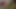 Küçük memeli piliç sert anal sikişiyor