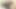 Pressley Carter bir yarağın üstüne atlıyor