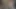 lanet benim gf köpek içinde külotlu çorap
