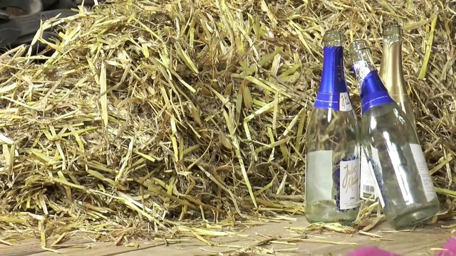 Ateşli orta yaşlı seksi kadınlar emmeyi, sikişmeyi ve yumruk sokmayı seviyor