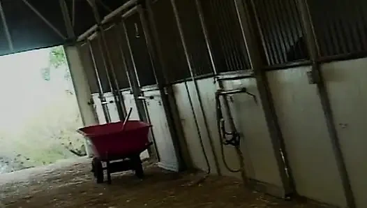 Ateşli sarışın sürtük boşalmadan önce açık havada yarağa biniyor