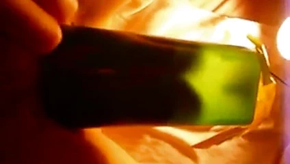 Büyük pompalanan kedi içinde bir fincan tarafından wowimbig