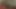 Seksi zenci tenli misty stone büyük siyah yarakları seviyor