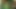 Yağlı grup seks sürtükler havuzda grup sekste genişliyor