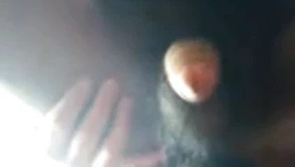 argentinos a pelo