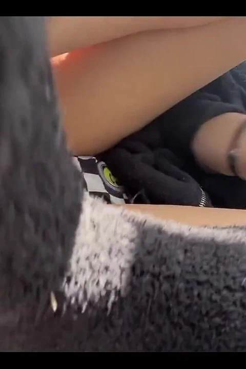 Seni böyle gezdirmeme izin verir misin?