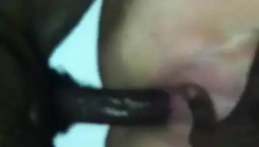 okşayarak beyaz KEDİ