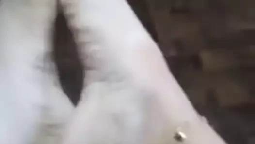 Mükemmel Filipinli kemerler hazır