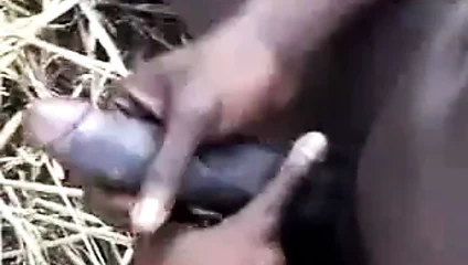 ırklararası çiftçilik