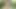 Horny German Girl masturbates in the middle of the jungle (Risky JOI)