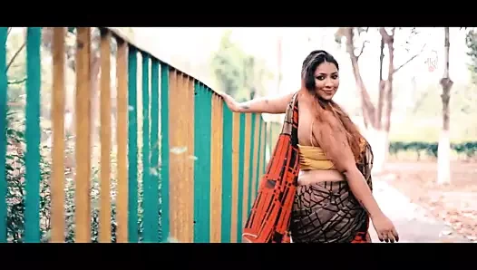 Çek baskı sari içinde Puja